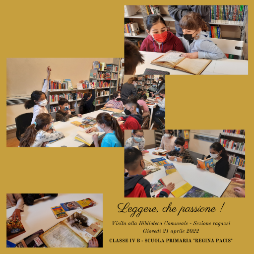 - Biblioteca Civica 3