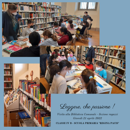 Biblioteca Civica 4