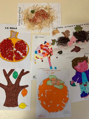 IMG-20211117-WA0008 Copia