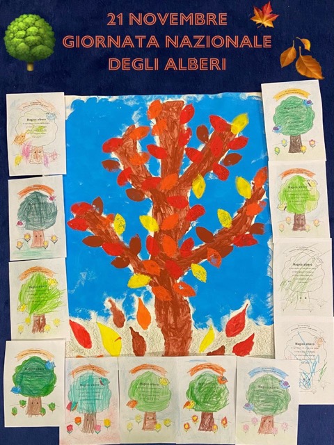 5 21 novembre Giornata internazionale degli alberi - dimensioni medie