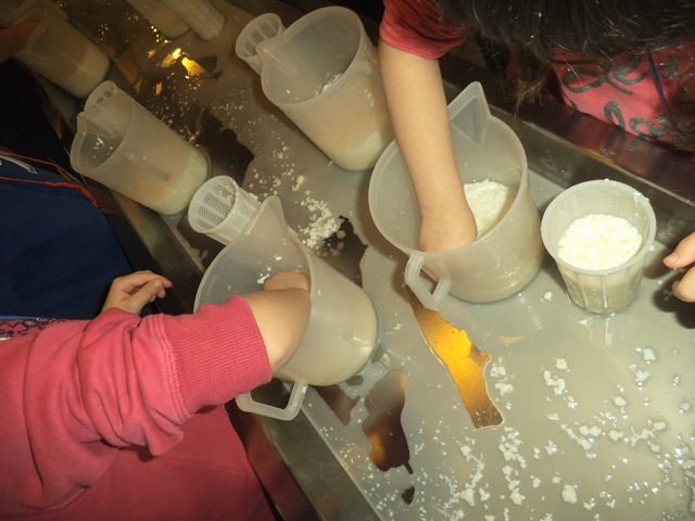 Laboratorio del formaggio 2