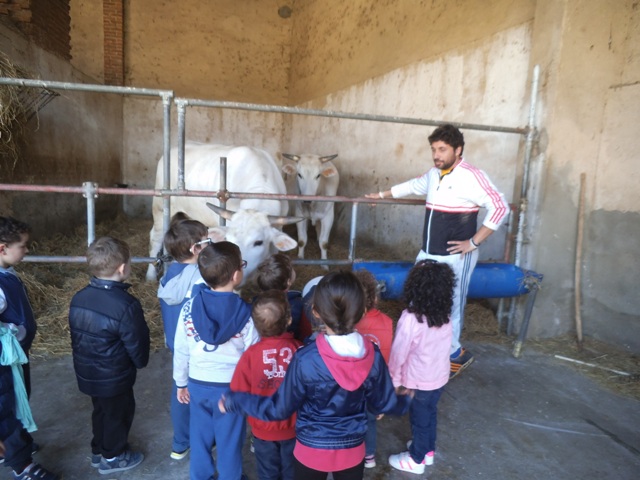 Visita alle stalle