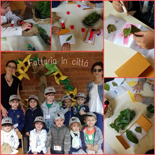 fattoria 1