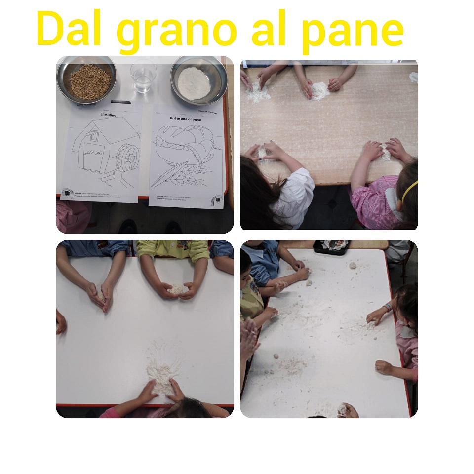 dal grano