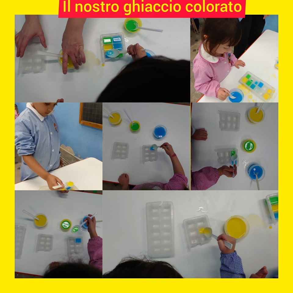 scienze 4