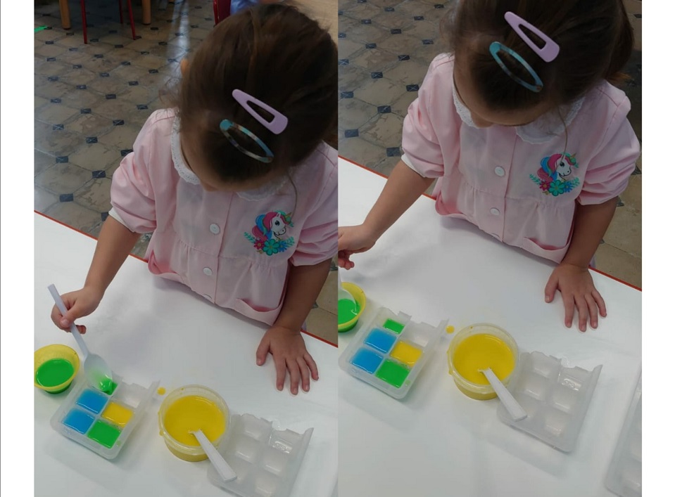 scienze 5