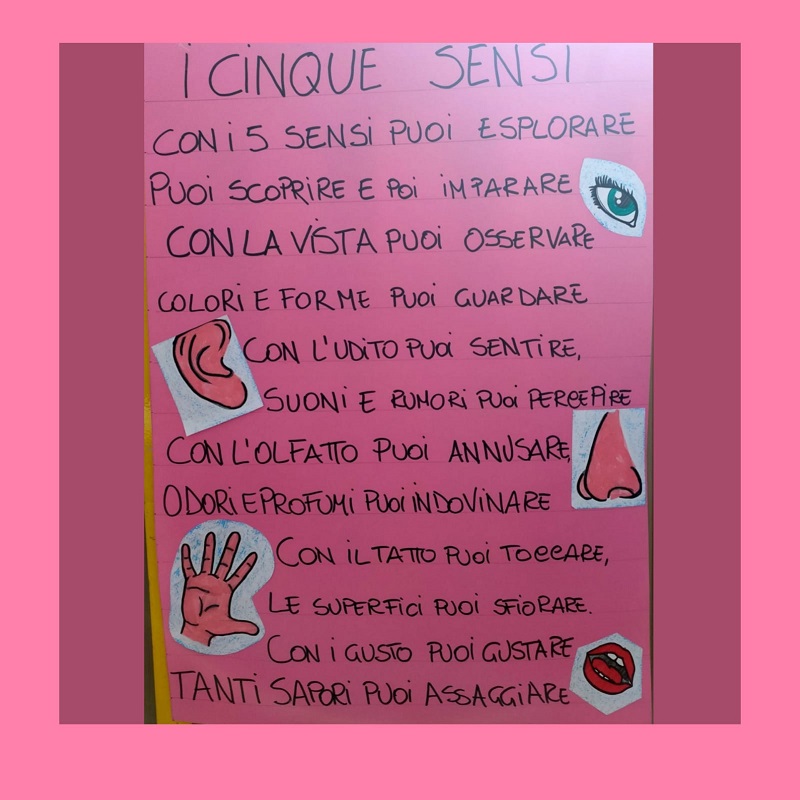 I  cinque sensi