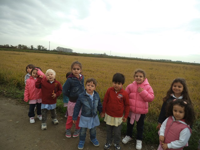 azienda 1