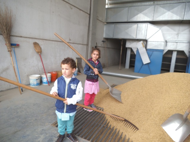 azienda 4