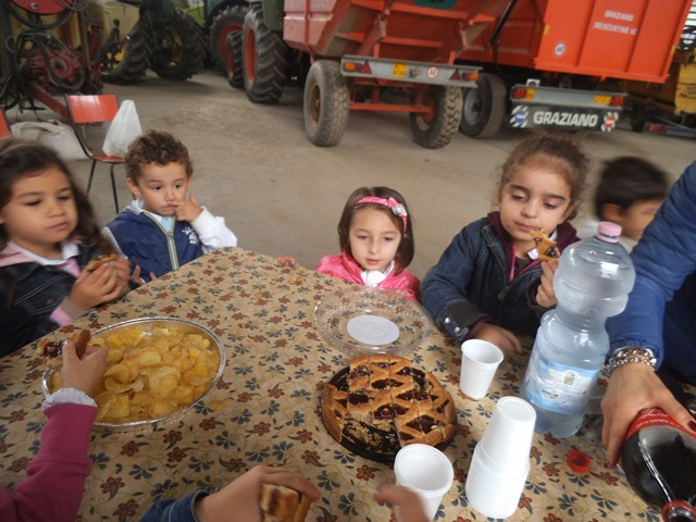 azienda 6