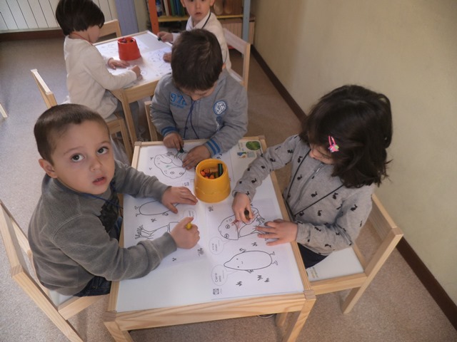borgogna 6