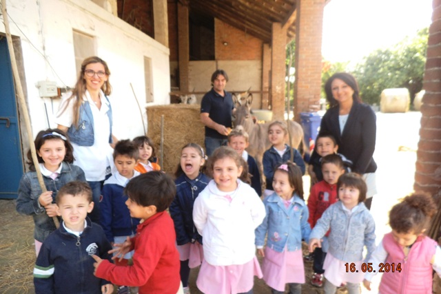 gruppo
