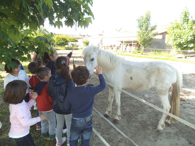 pezzana 2