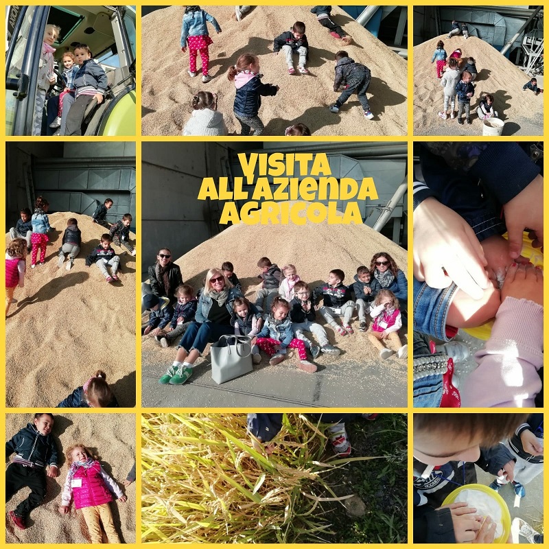 visita azienda agricola