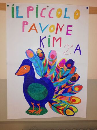KIM 2 A 1