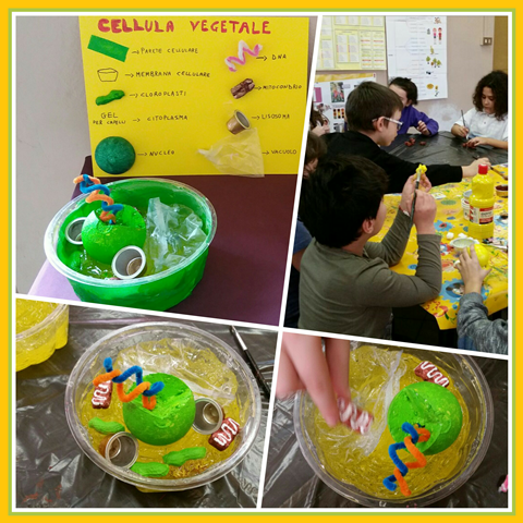 cellula vegetale