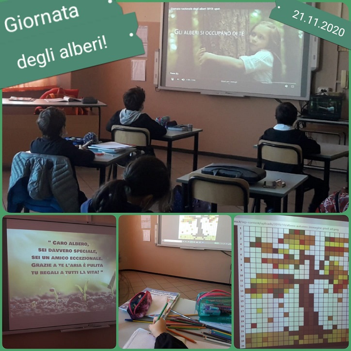 giornata degli alberi