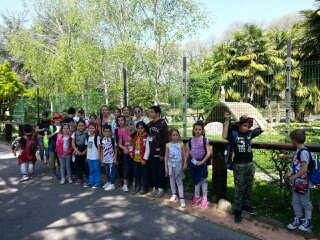 cornelle2