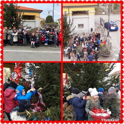 albero Copia