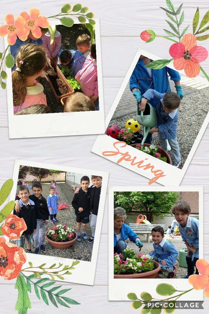 Collage 2018-05-31 16 55 59