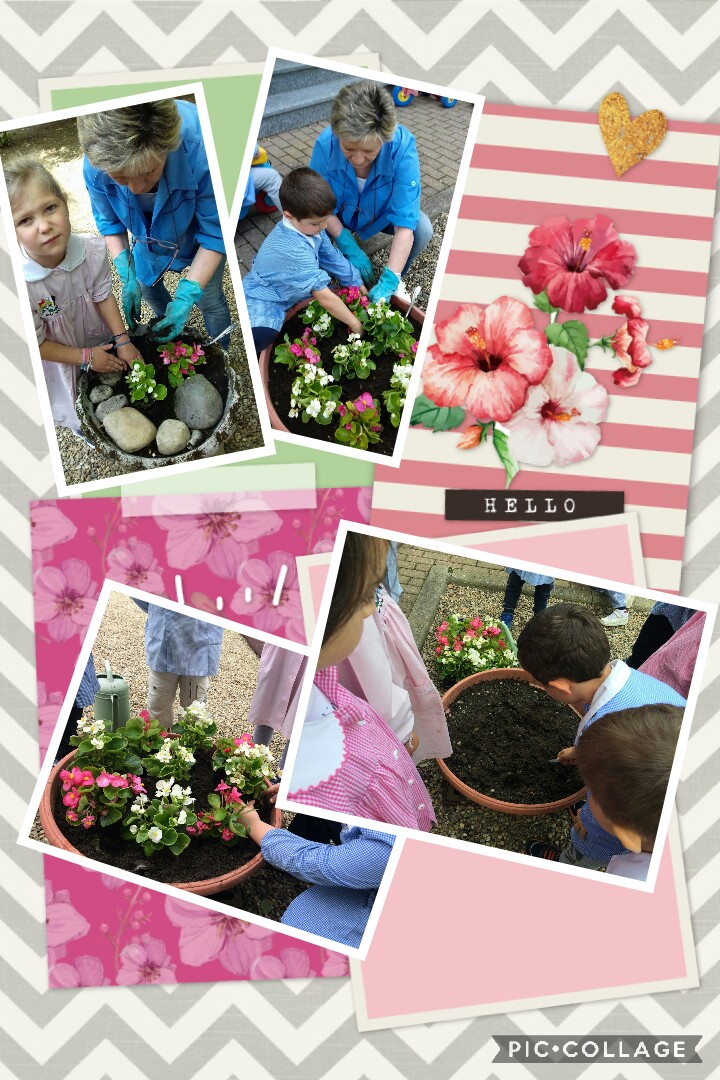 Collage 2018-05-31 16 58 31