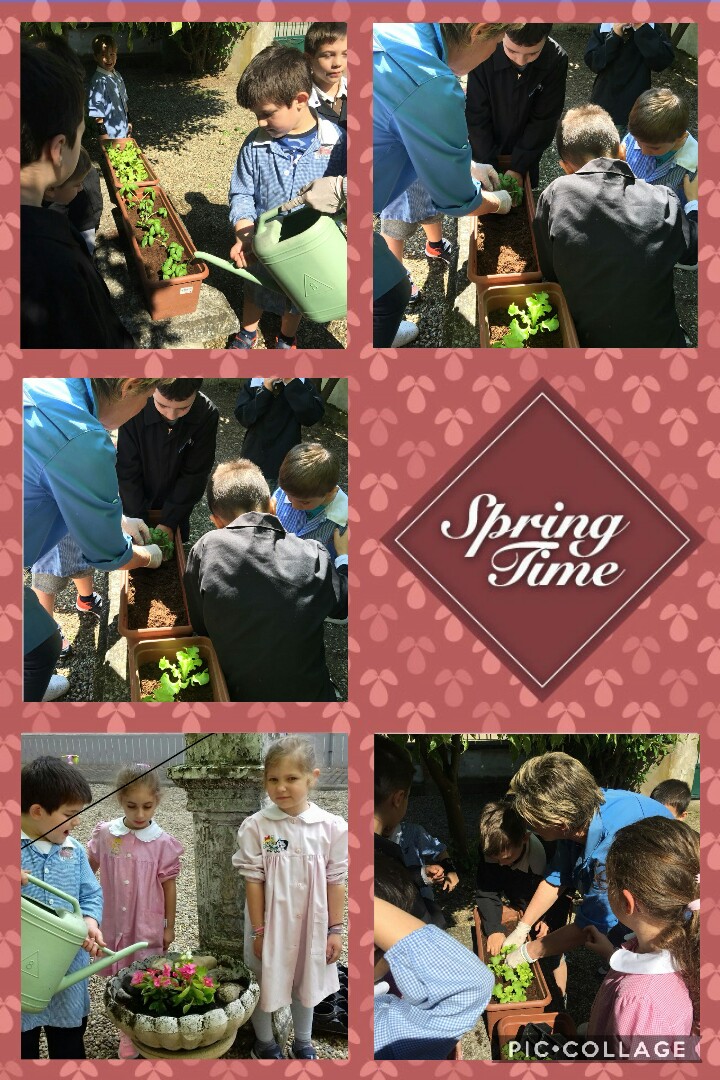 Collage 2018-05-31 16 59 34