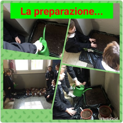preparaz orto bimbi